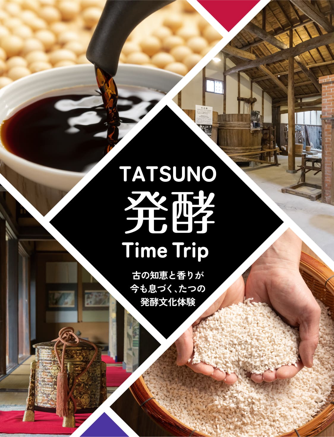 TATSUNO 発酵 Time Trip 古の知恵と香りが今も息づく、
たつの発酵文化体験。